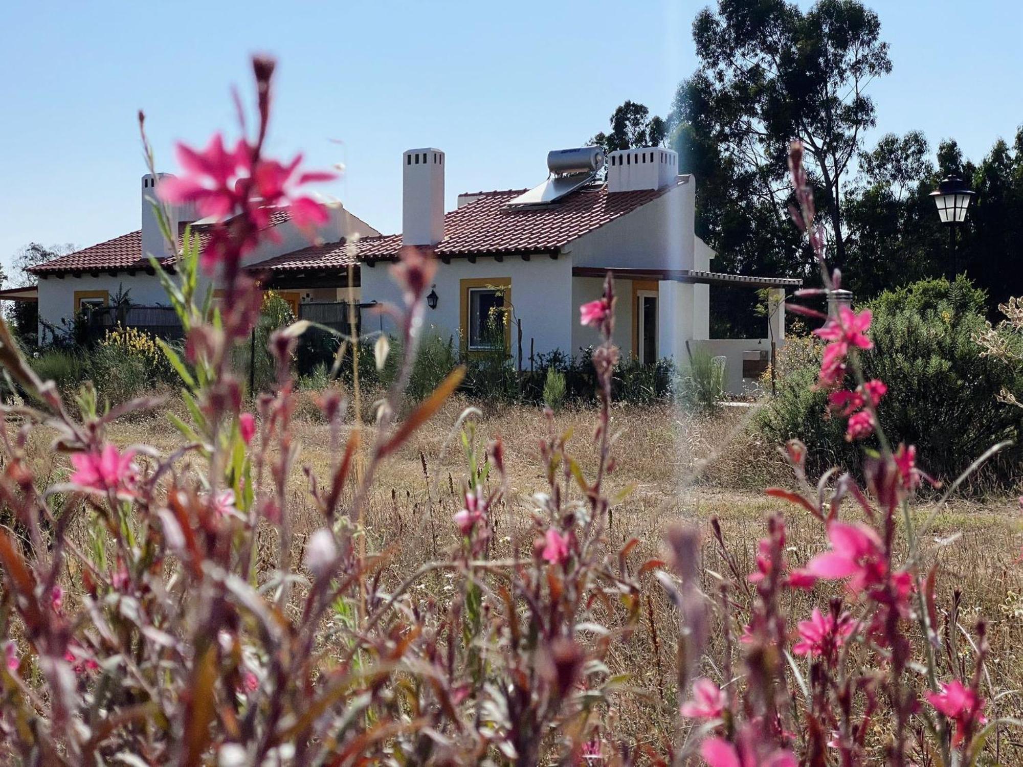 Monte Dos Cachoupos Villa Sao Luis Exterior photo